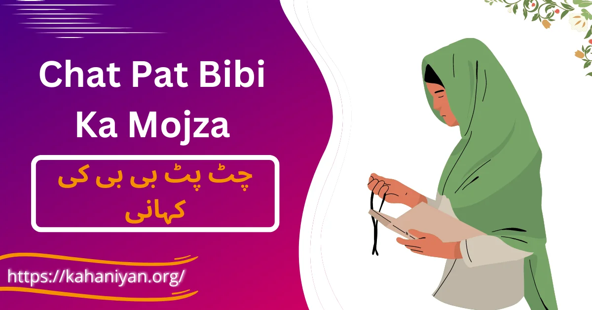 Chat Pat Bibi Ka Mojza (Kahani)